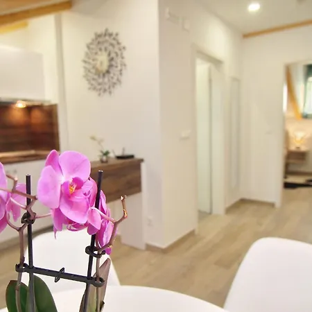 Sweet Escape - With Terrace And Sea View 1 Apartment