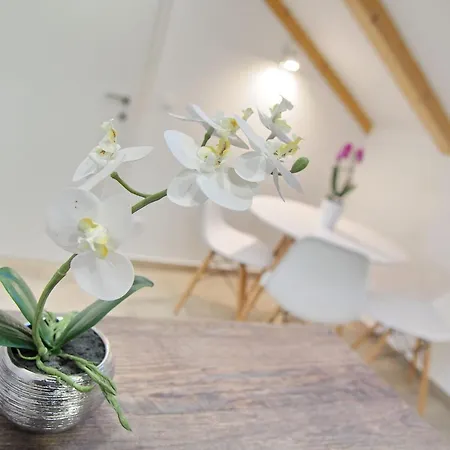 Apartments Sweet Escape - Studio Apartment With Terrace 1 두브로브니크